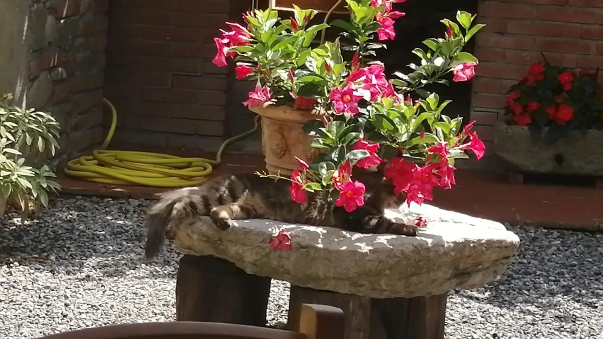 Guest house La Cascina Di Anna Hotel Beverino